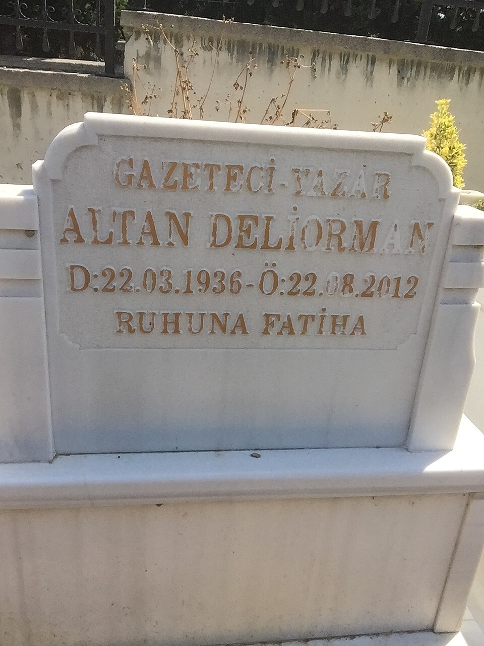 Altan DELİORMAN