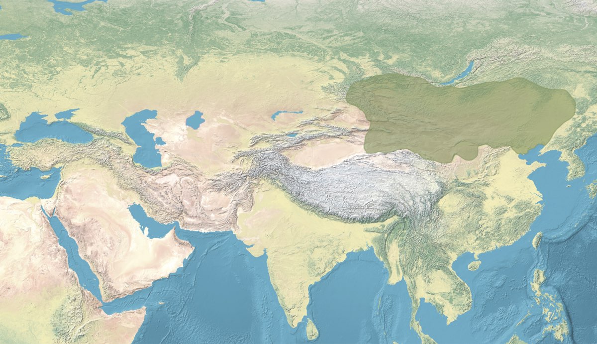 Işbara Dönemi ve Devletin İkiye Bölünmesi (582)