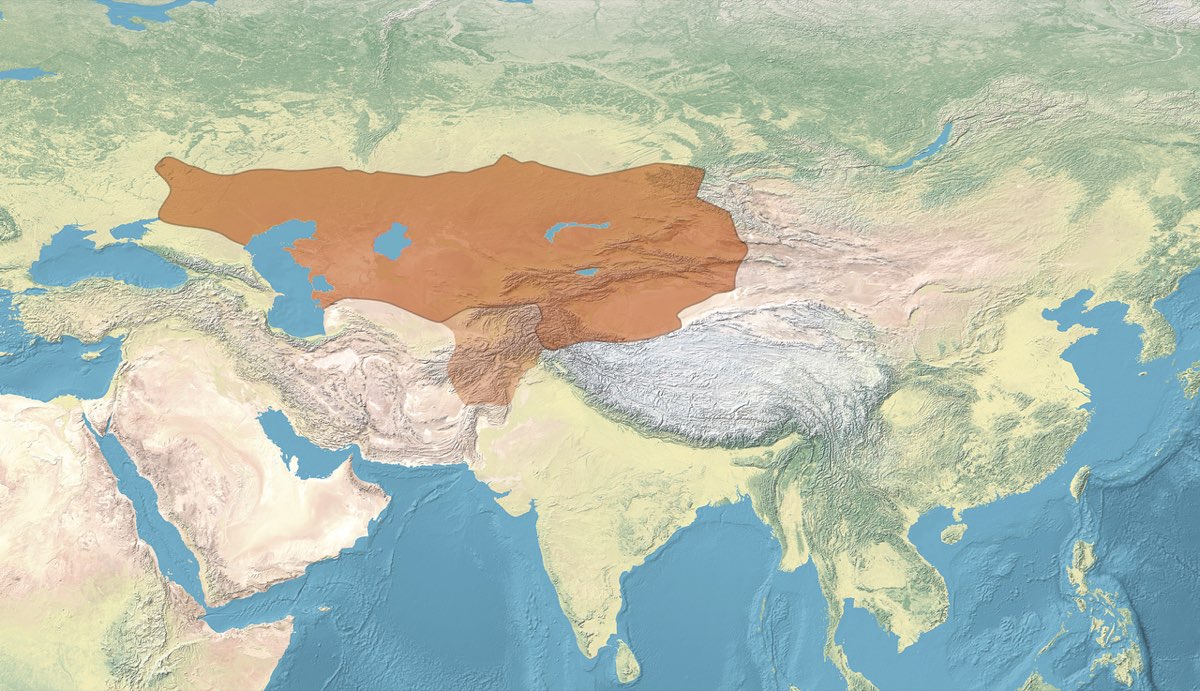 Tardu'nun Başarılı Yılları: 582-603
