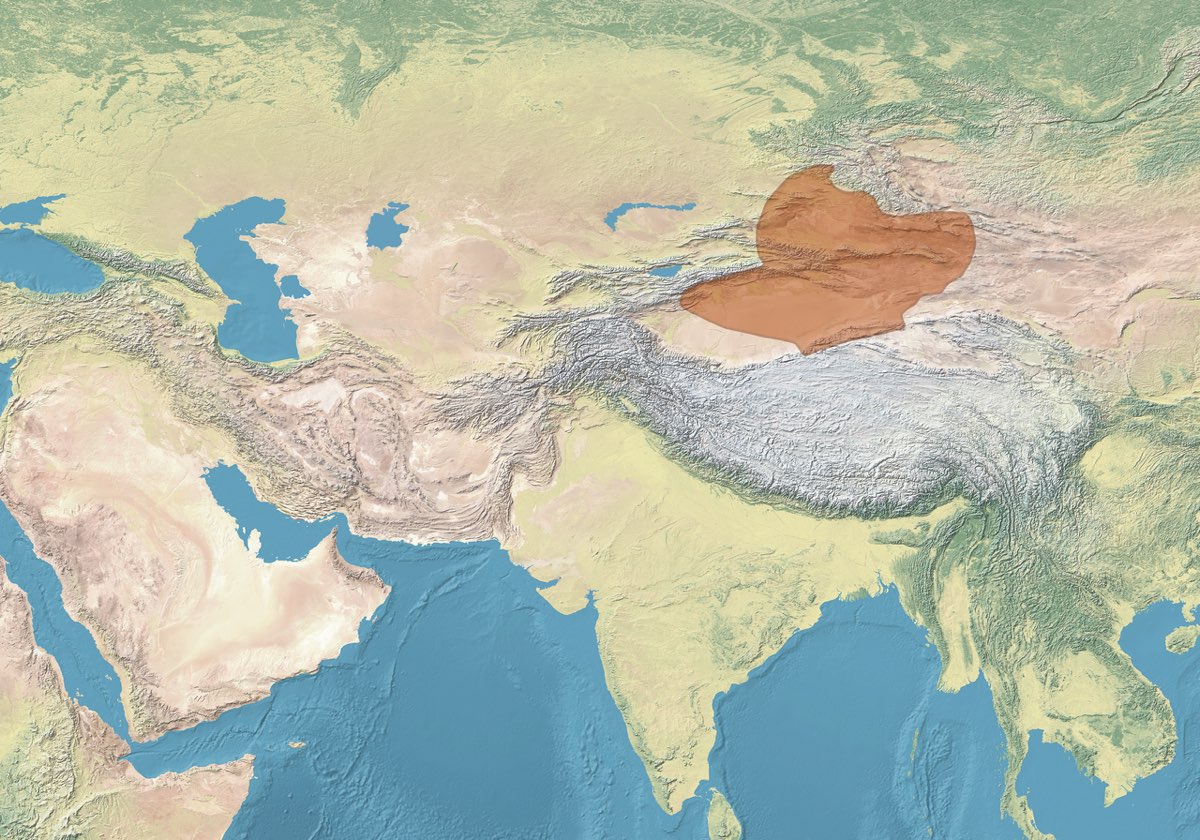 Doğu Türkistan Uygur Devleti