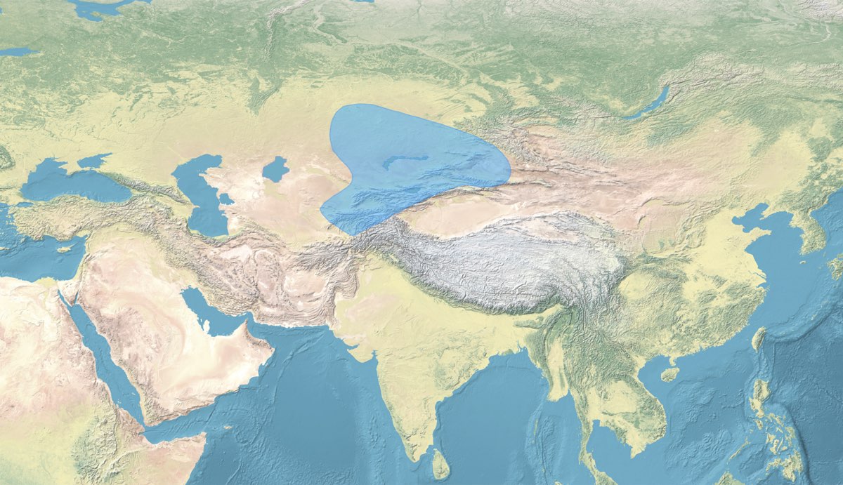 Turgish Khanate