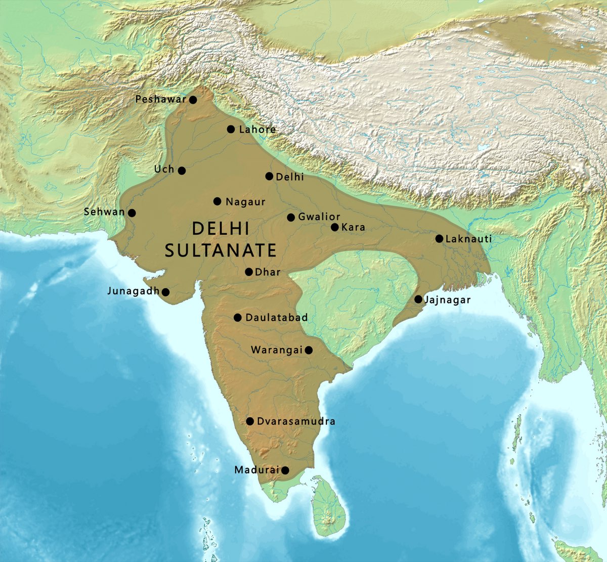 Delhi Turkish Sultanate