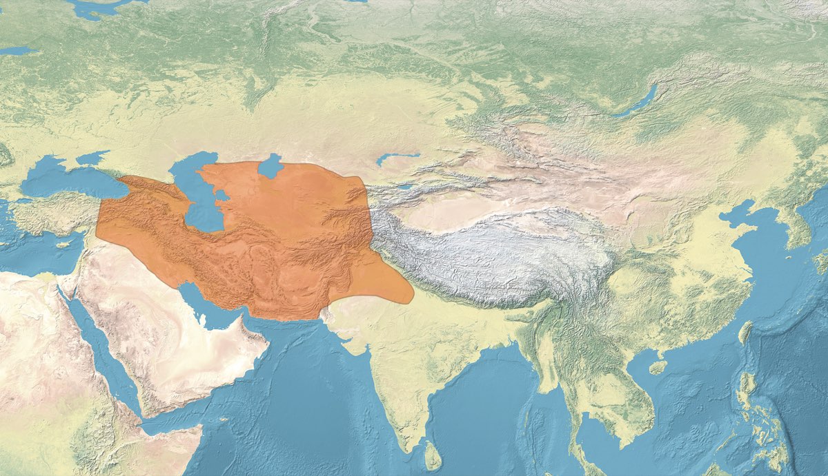 Timuroğulları