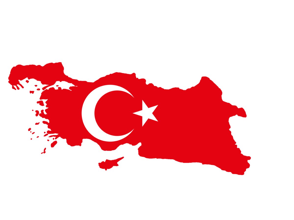 Assembly of Representative Council in Istanbul and the Adoption of National Pact