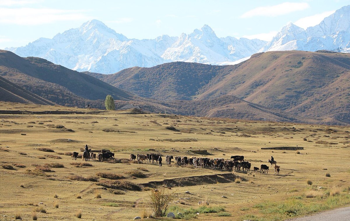 Todays Kyrgyzstan