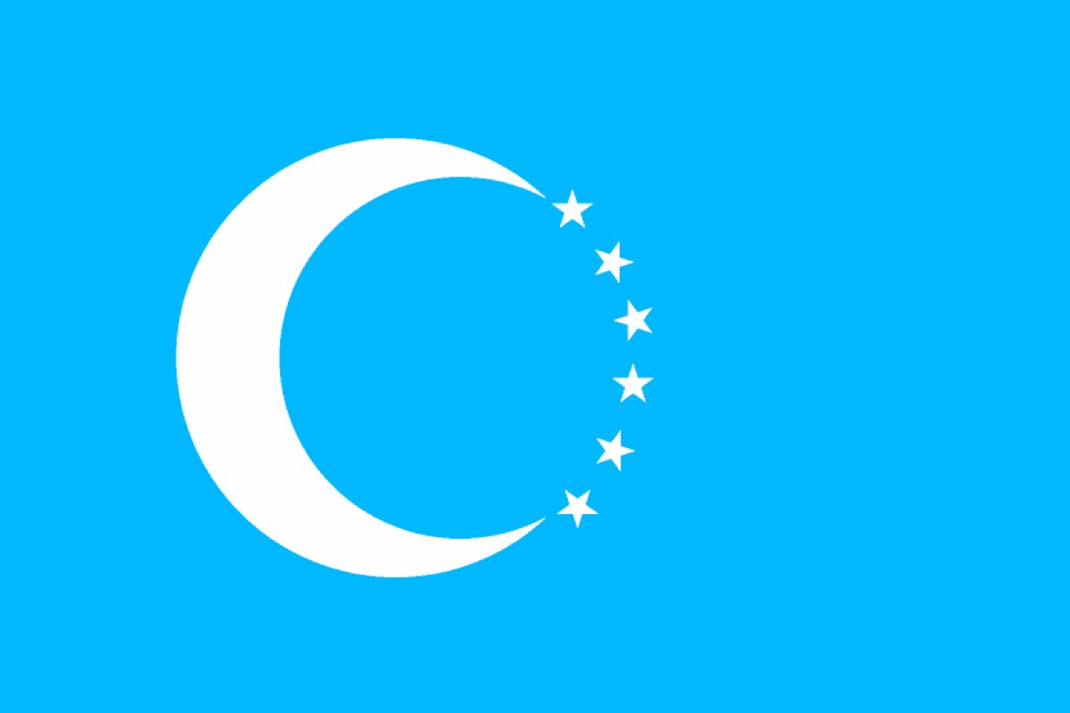 TURKS IN IRAQ